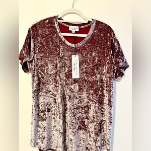 Short sleeved velvet top
